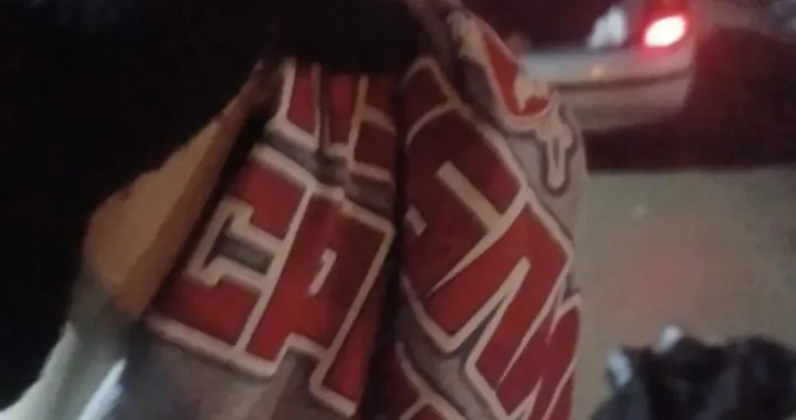 Torcida sa oduzetim rekvizitom Delija/Facebook/Foto: 