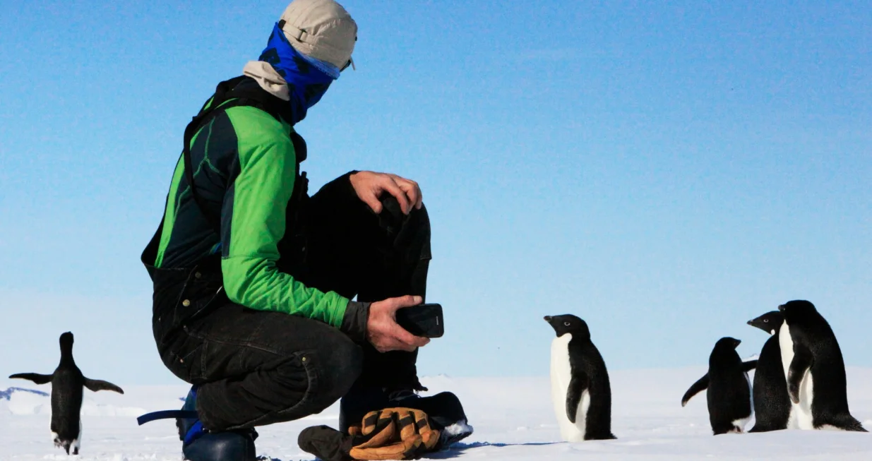 antarktik, pingvini, južni pol, zima, led/Suzan Kir&scaron;ić
