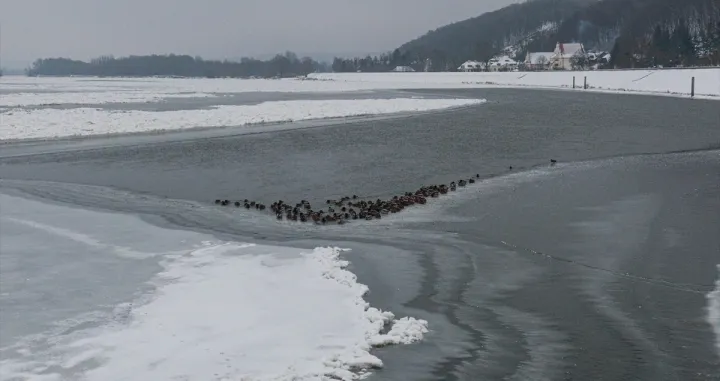 Zaleđena rijeka/Anadolija/