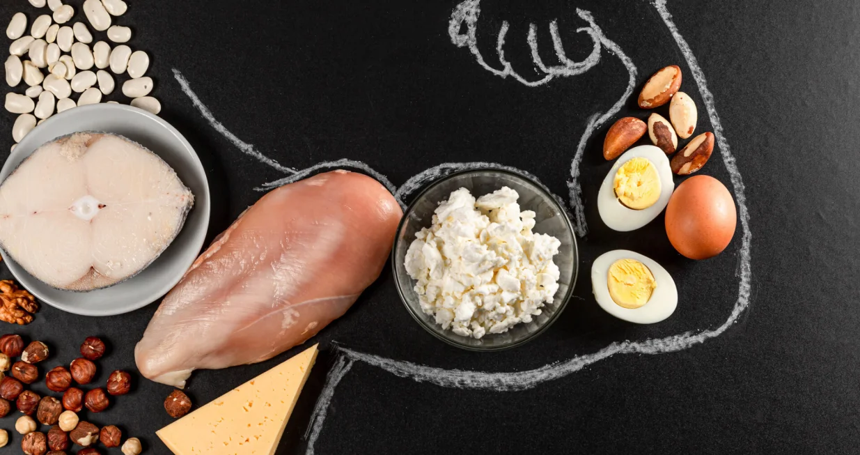 Uno&scaron;enje dovoljno proteina ne mora biti te&scaron;ko i skupo/ Ilustracija/ Flickr/ Marco Verch/ CC BY 2.0 DEED/