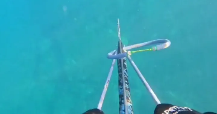 lov na hobotnicu, jadran, ante klobučar/Screenshot