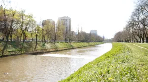 Proljeće ilustracije/Damir Deljo