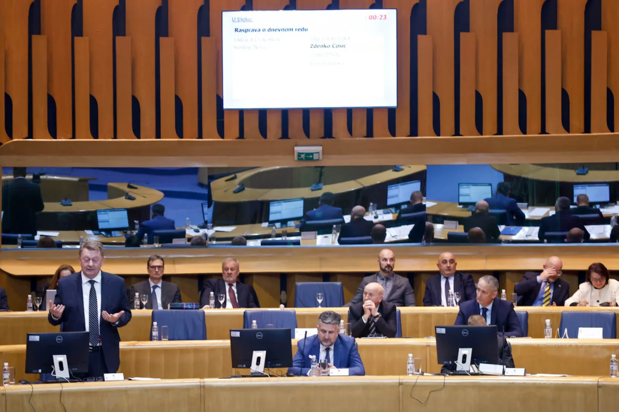 Sjednica Doma naroda Parlamentarne skupstine BiH 29.01.26/Damir Deljo