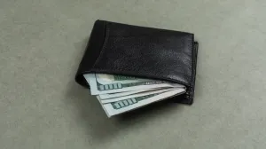 Bit će pun novca/Free Pik