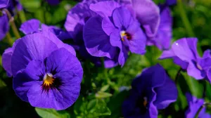 Topla boja u hladnim danima/Free Pik