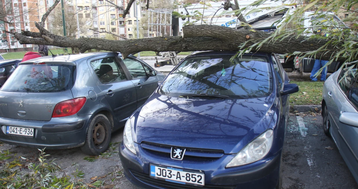 Vojničko - Saraj polje posljedice jakog vjetra. Automobili pod stablom./Senad Gubelić