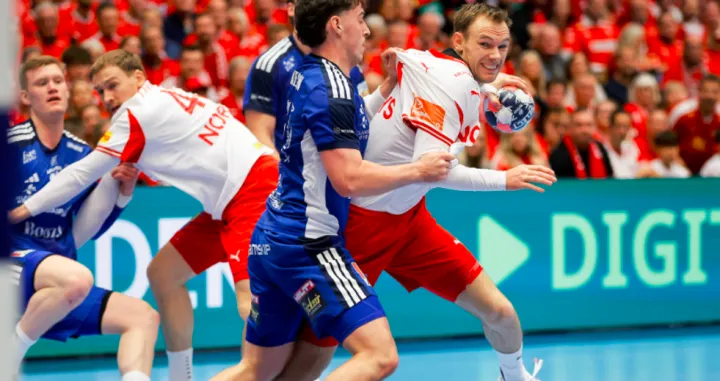 Detalj sa utakmice Danska Island/Foto: 