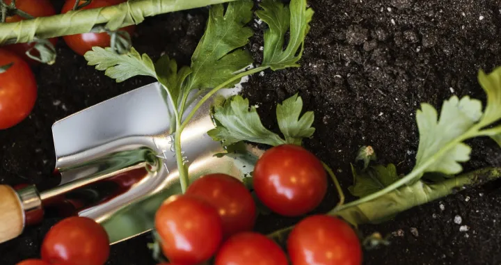 Poslu&scaron;ajte savjet stručnjaka/Free Pik