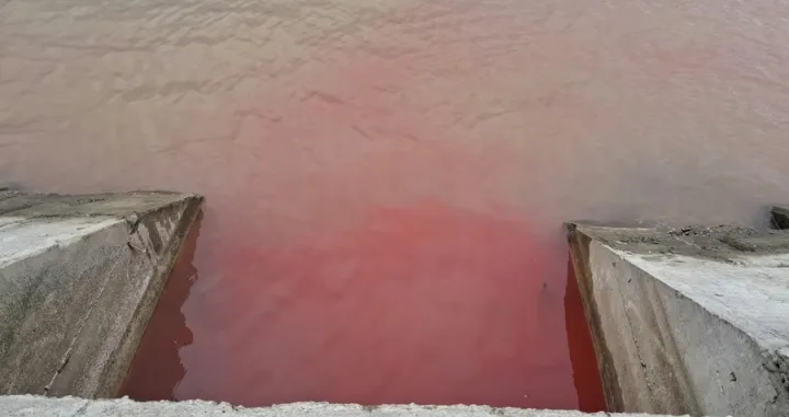 Pocrvenio Dunav u Beogradu/