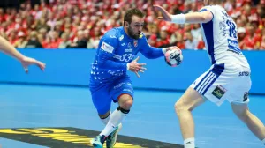 Detalj sa utakmice Hrvatska - Island/Foto: 