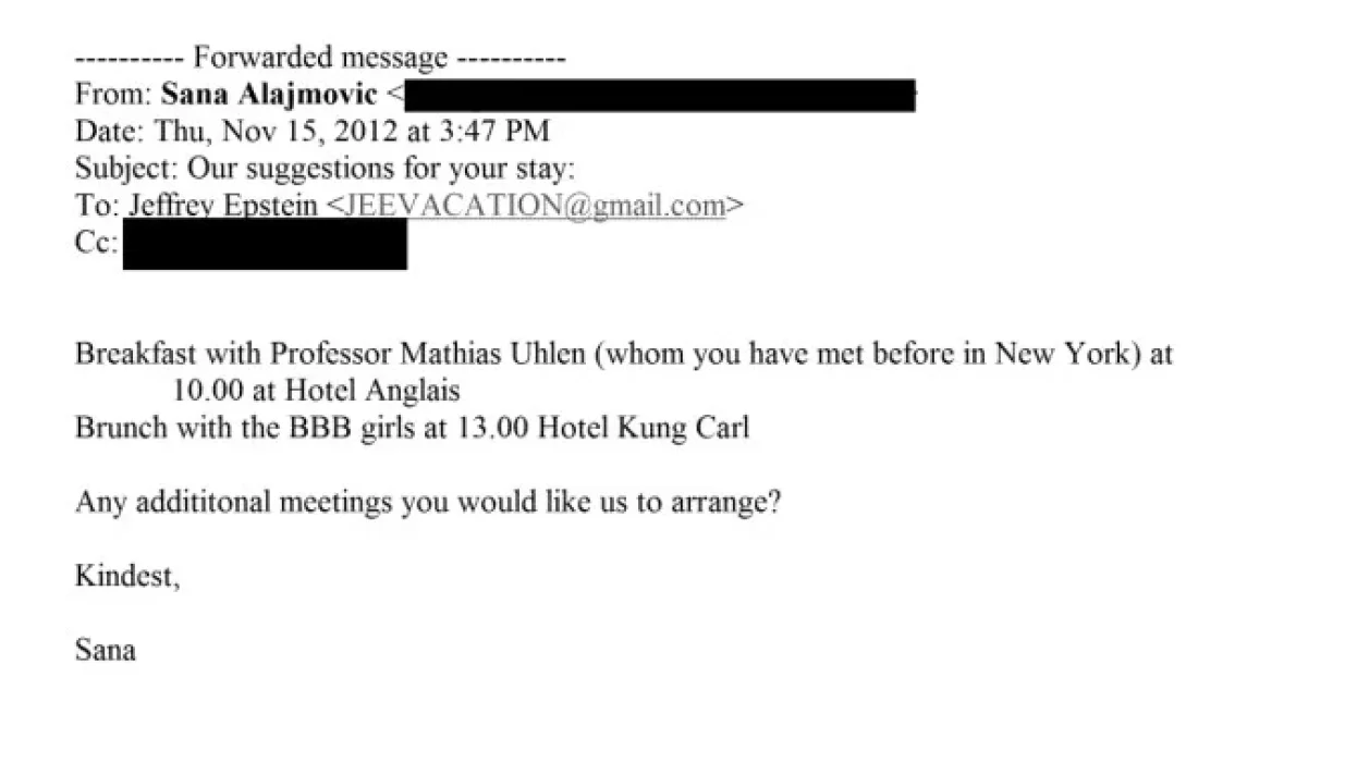 bosanka, sana alajmović, jeffrey epsteinFoto: Justice.org/