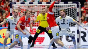 Detalj sa utakmice Danska - Njemačka/Foto: 