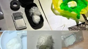 Oduzeta droga/MUP TK//