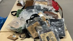 Oduzeta roba/Carinska uprava Hrvatske//