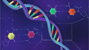 Nova analiza, objavljena u časopisu Science/