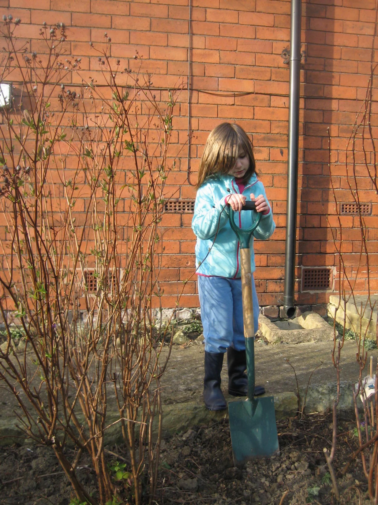 Djeca su na&scaron;e najvažnije sjemenke koje sijemo i uzgajamo/