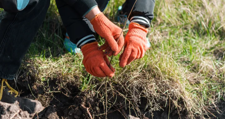 Zauvijek recite zbogom korovu/Free Pik
