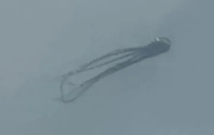 Neobična pojava na nebu, hobotnica/Prtsc