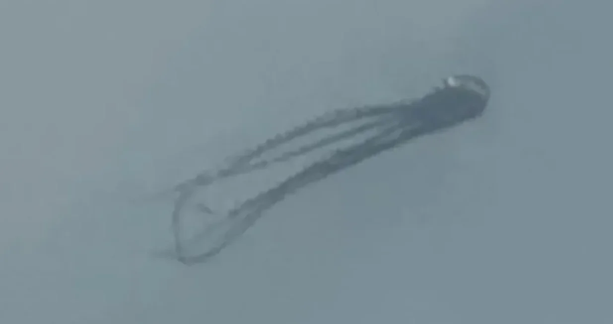 Neobična pojava na nebu, hobotnica/Prtsc