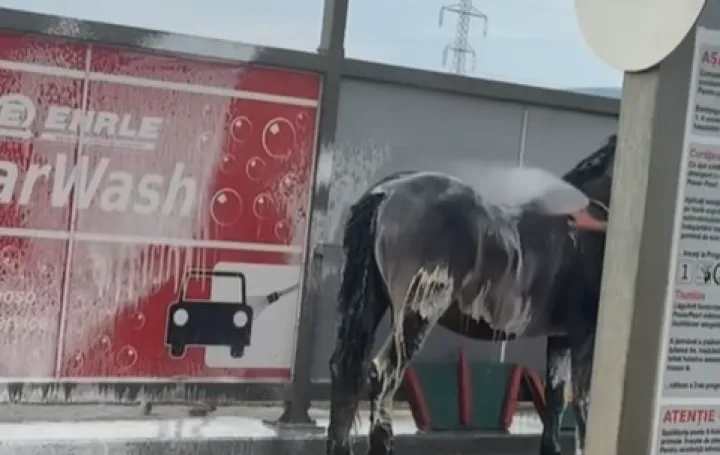 Video je izazvao pometnju/Facebook