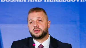 Želimir Ne&scaron;ković/Damir Deljo