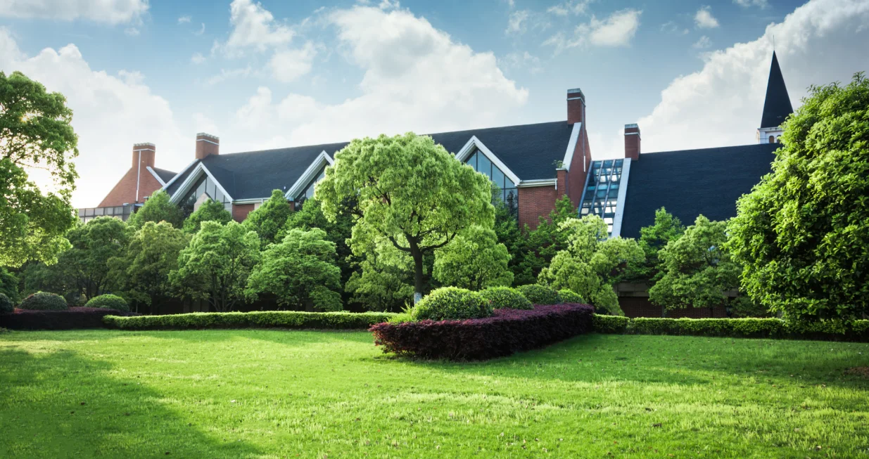 Nema vi&scaron;e žute trave/Free Pik