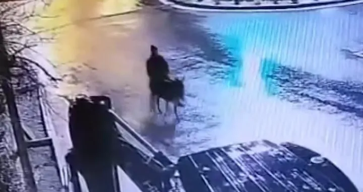 Pobjegao na magarcu/Printscreen/Anadolija//