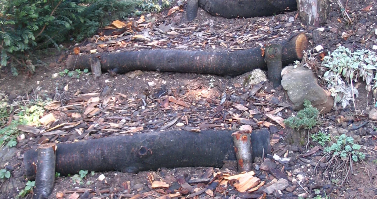 Vrtne stepenice od oblutaka/