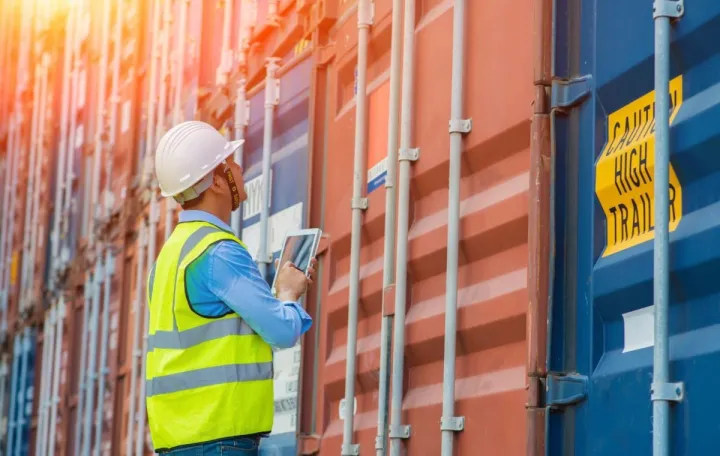 carine izvoz ilustracija/