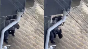 Uhapšen napadač/Printscreen/X.com//