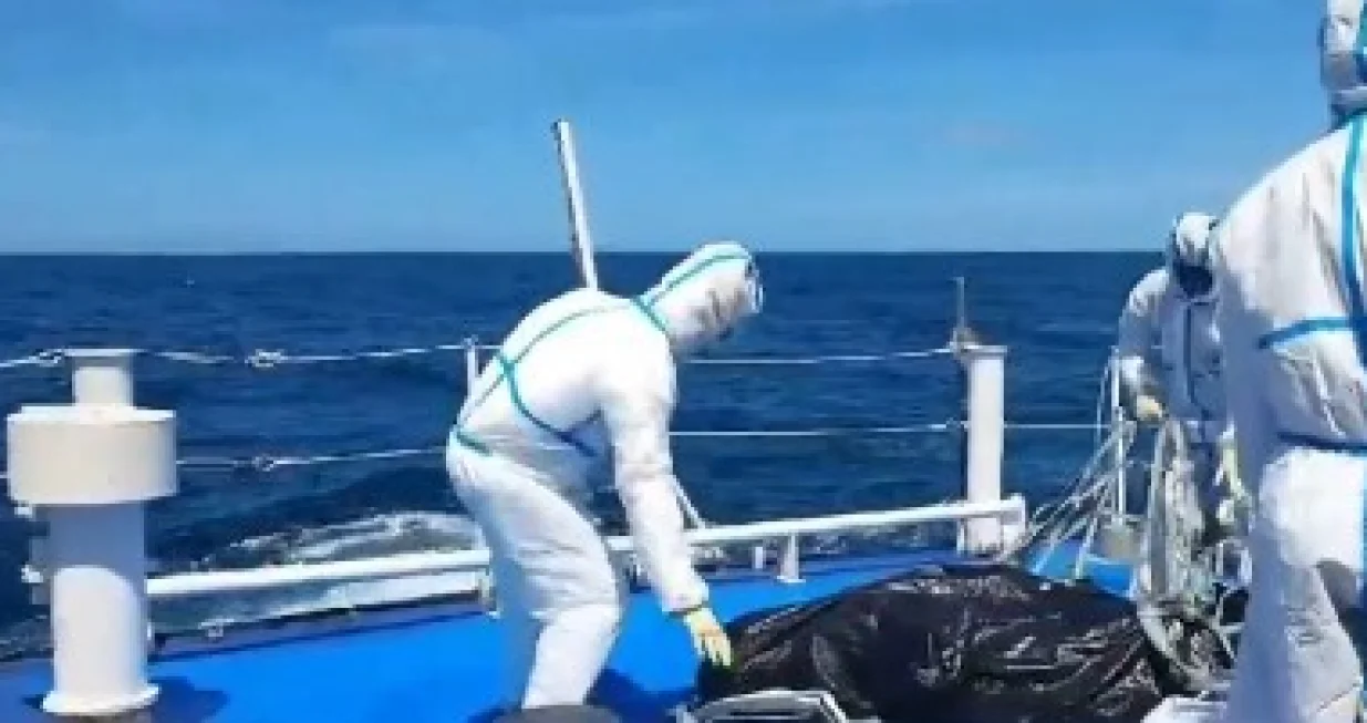 Vi&scaron;e od 50 smrtno nastradalih/Printscreen/X.com//