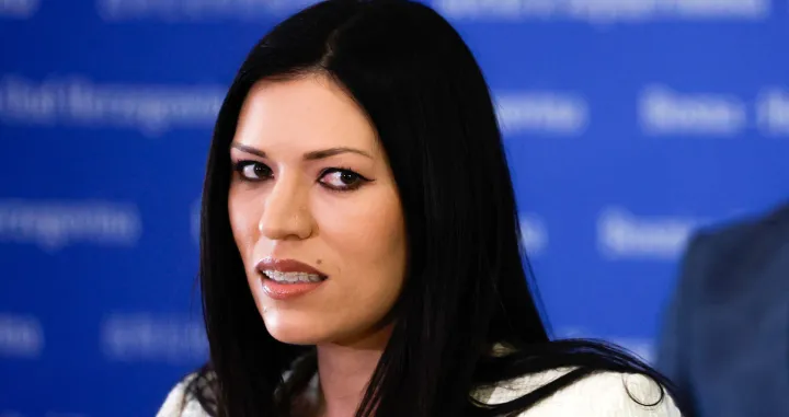 Vulić izjava hitna sjednica jena Konakovića/Damir Deljo