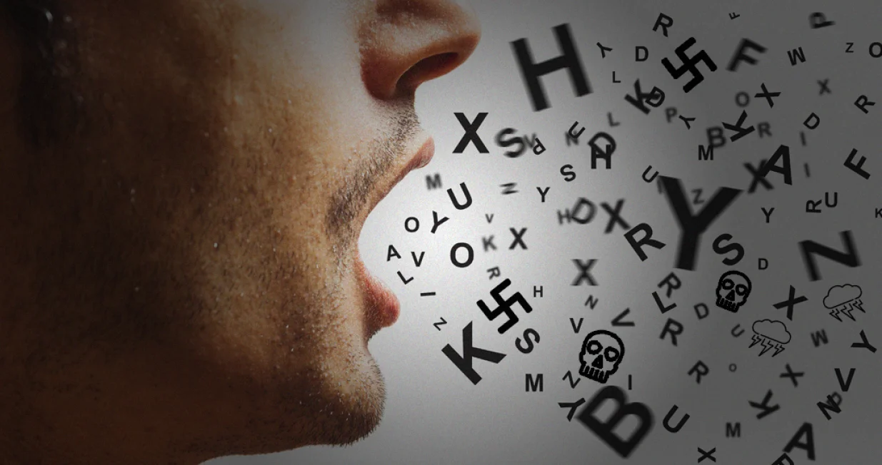 &Scaron;ehić govori o tome kako se islamofobija i govor mržnje u političkom prostoru koriste kao sredstvo destabilizacije države, uz poseban fokus na djelovanje Milorad Dodik i dugogodi&scaron;nje tolerisanje takvog diskursa. On upozorava da istorija pokazuje kako nasilje uvijek počinje jezikom i dehumanizacijom, te kritikuje pasivnost domaćih političkih struktura koje se deklarativno pozivaju na antifa&scaron;izam, ali ne poduzimaju konkretne poteze. Zaključno, tekst poručuje da takva politika dovodi do opasnog relativiziranja pro&scaron;lih zločina i ponovnog stvaranja narativa koji prijeti opstanku države i njenim građanima./Benjamin Krnić