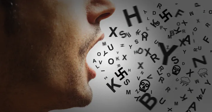 &Scaron;ehić govori o tome kako se islamofobija i govor mržnje u političkom prostoru koriste kao sredstvo destabilizacije države, uz poseban fokus na djelovanje Milorad Dodik i dugogodi&scaron;nje tolerisanje takvog diskursa. On upozorava da istorija pokazuje kako nasilje uvijek počinje jezikom i dehumanizacijom, te kritikuje pasivnost domaćih političkih struktura koje se deklarativno pozivaju na antifa&scaron;izam, ali ne poduzimaju konkretne poteze. Zaključno, tekst poručuje da takva politika dovodi do opasnog relativiziranja pro&scaron;lih zločina i ponovnog stvaranja narativa koji prijeti opstanku države i njenim građanima./Benjamin Krnić