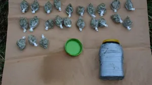 Oduzeta droga/PU Doboj/