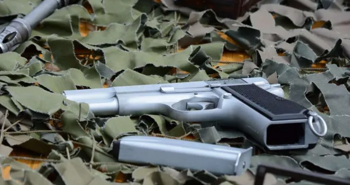 Pi&scaron;tolj/Ilustracija/Fena//