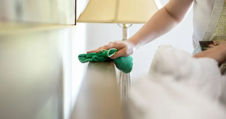 Či&scaron;ćenje pra&scaron;ine/