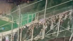 FOTO: Screenshot - Reddit/Foto: 