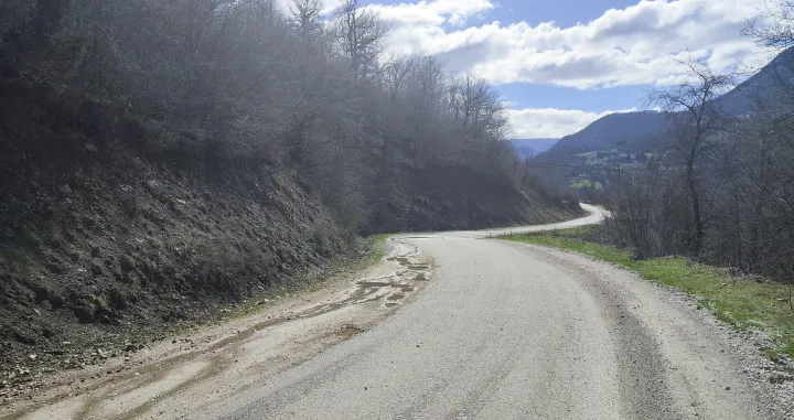 Cesta &Scaron;ćepan polje/