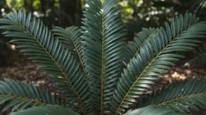 Svi je trebaju u domu/Ilustracija