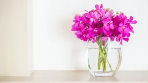 Ovo sve rješava/Free Pik