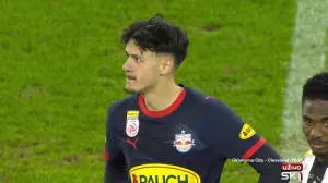 Odlična partija Alajbegovića/Foto: 