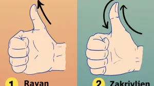 Krije zanimljivo značenje/Ilustracija