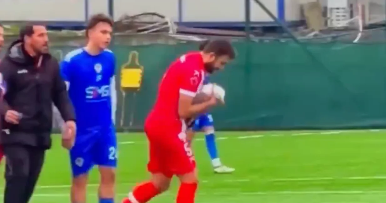 Igrač reanimirao galeb/Foto: 