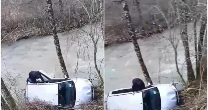 Spasio mu&scaron;karca/Printscreen/Facebook//