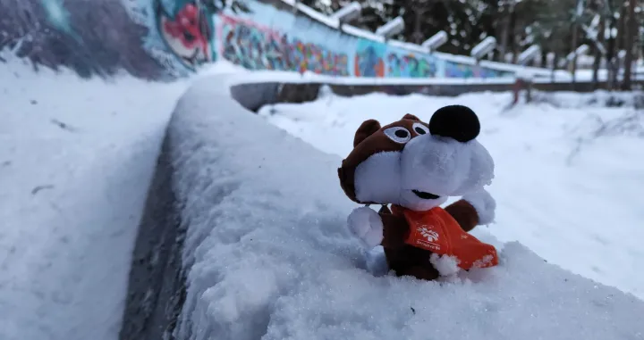 Vučko nas je ispratio sa Trebevića/Oslobođenje