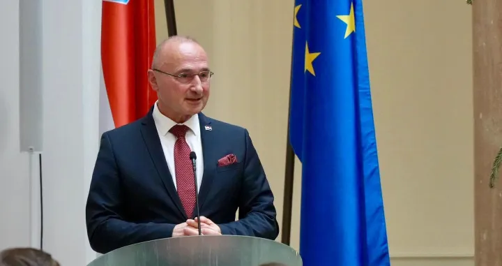 Gordan Grlić Radman/Screenshot