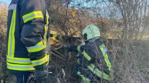 Intervenirali vatrogasci/Mostar.live//