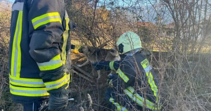 Intervenirali vatrogasci/Mostar.live//