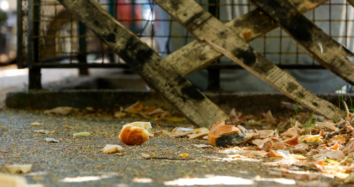 Smeće i komunalije/Damir Deljo